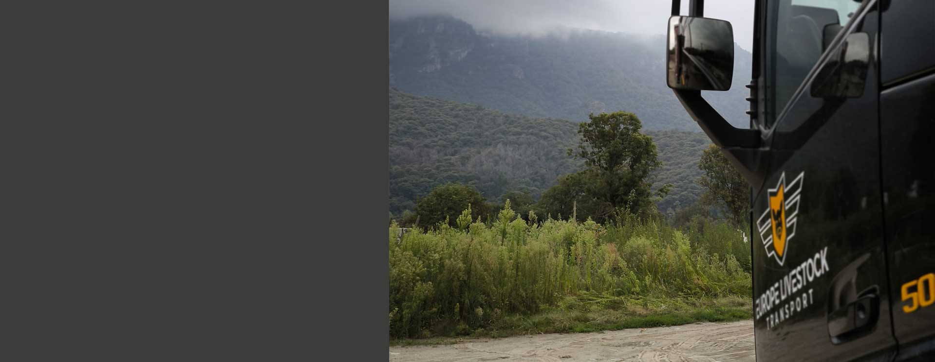 Transport żywych zwierząt