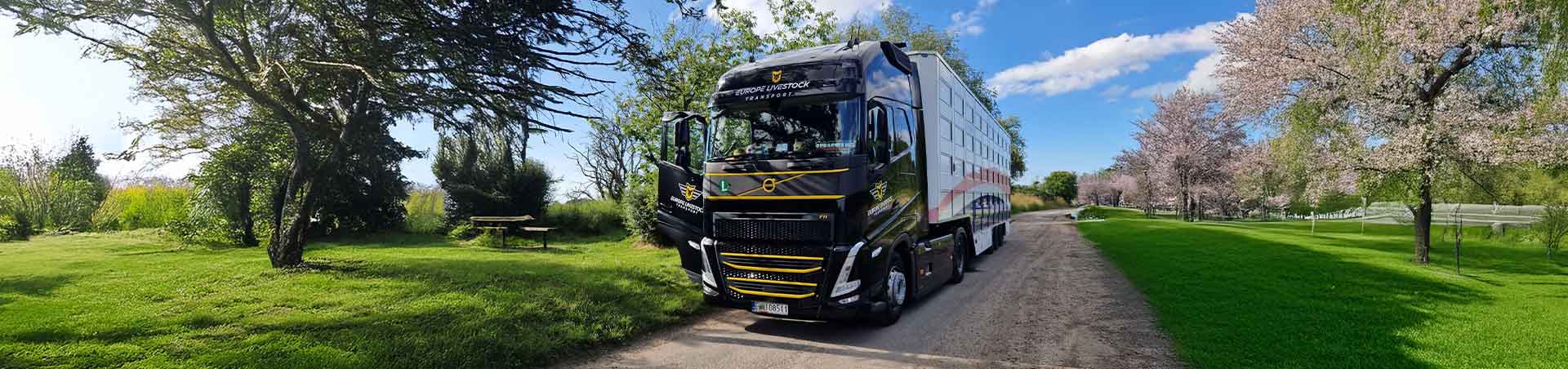 Transport żywych zwierząt